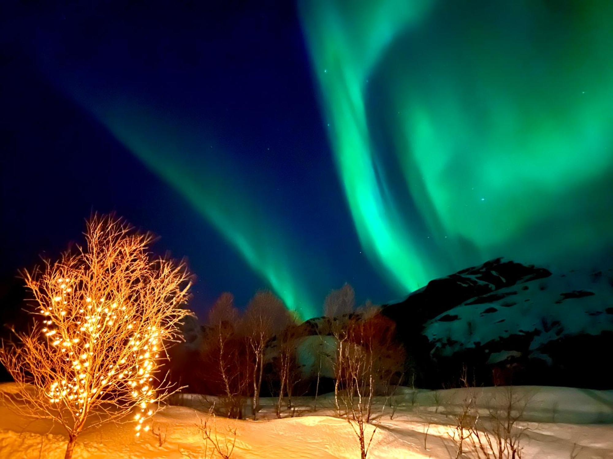 Lofoten Glampingdome Myrland Exterior photo